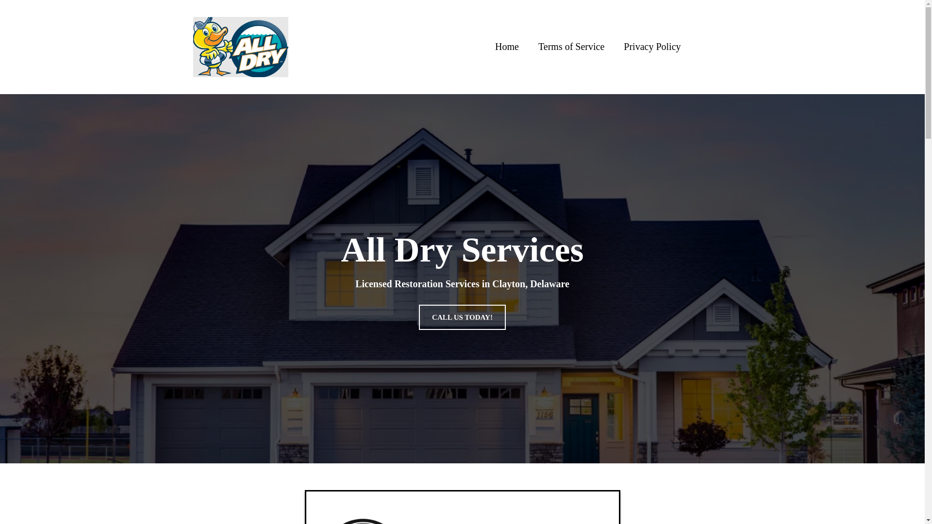 website screenshot of https://alldryservicesde.com/