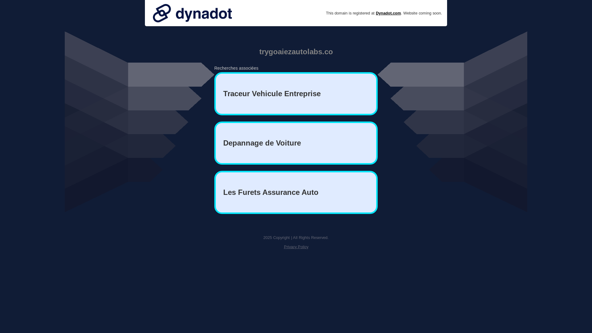 website screenshot of https://trygoaiezautolabs.co/