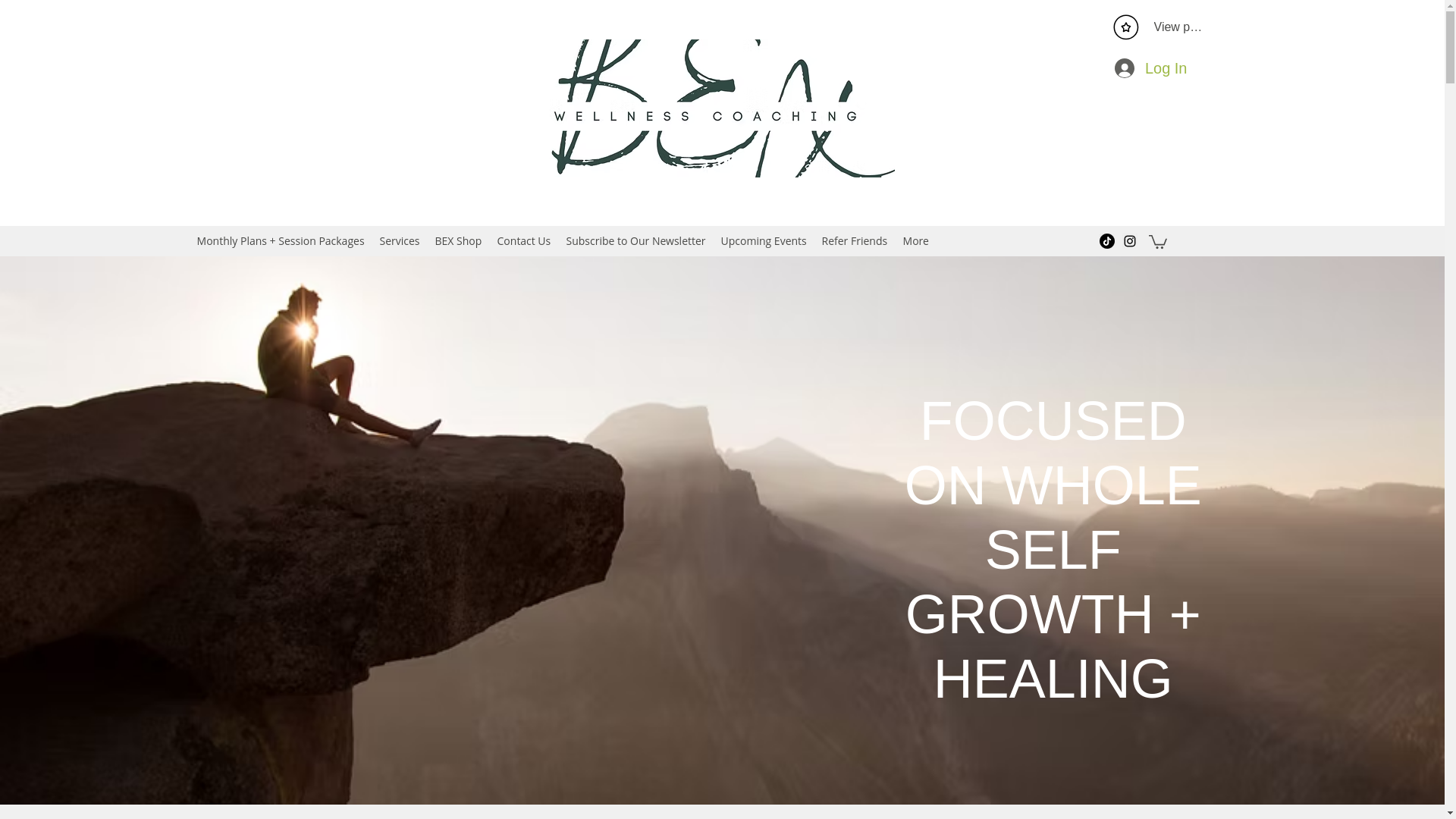 website screenshot of https://bexwellness.store/
