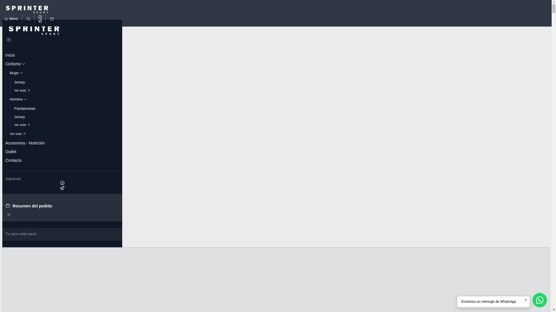 website screenshot of https://sprintersc.com/