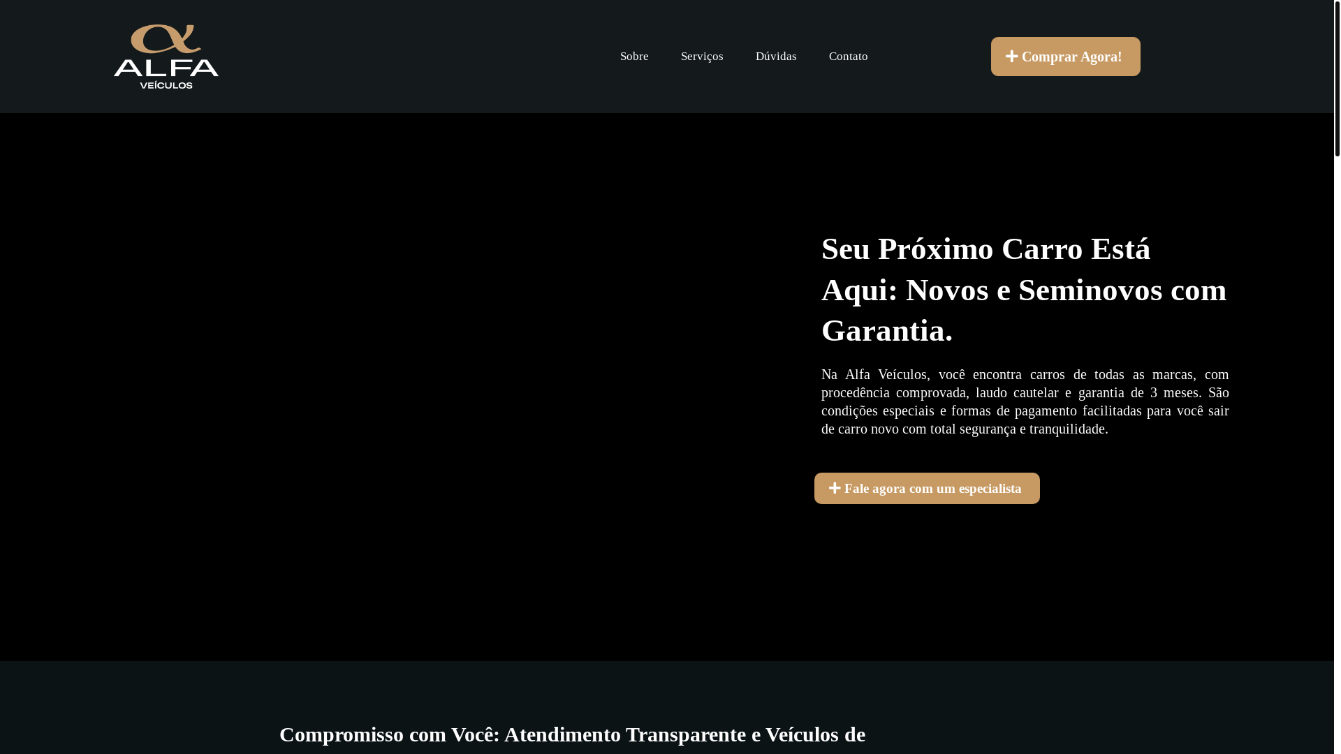website screenshot of https://alfaveiculospocos.com.br/