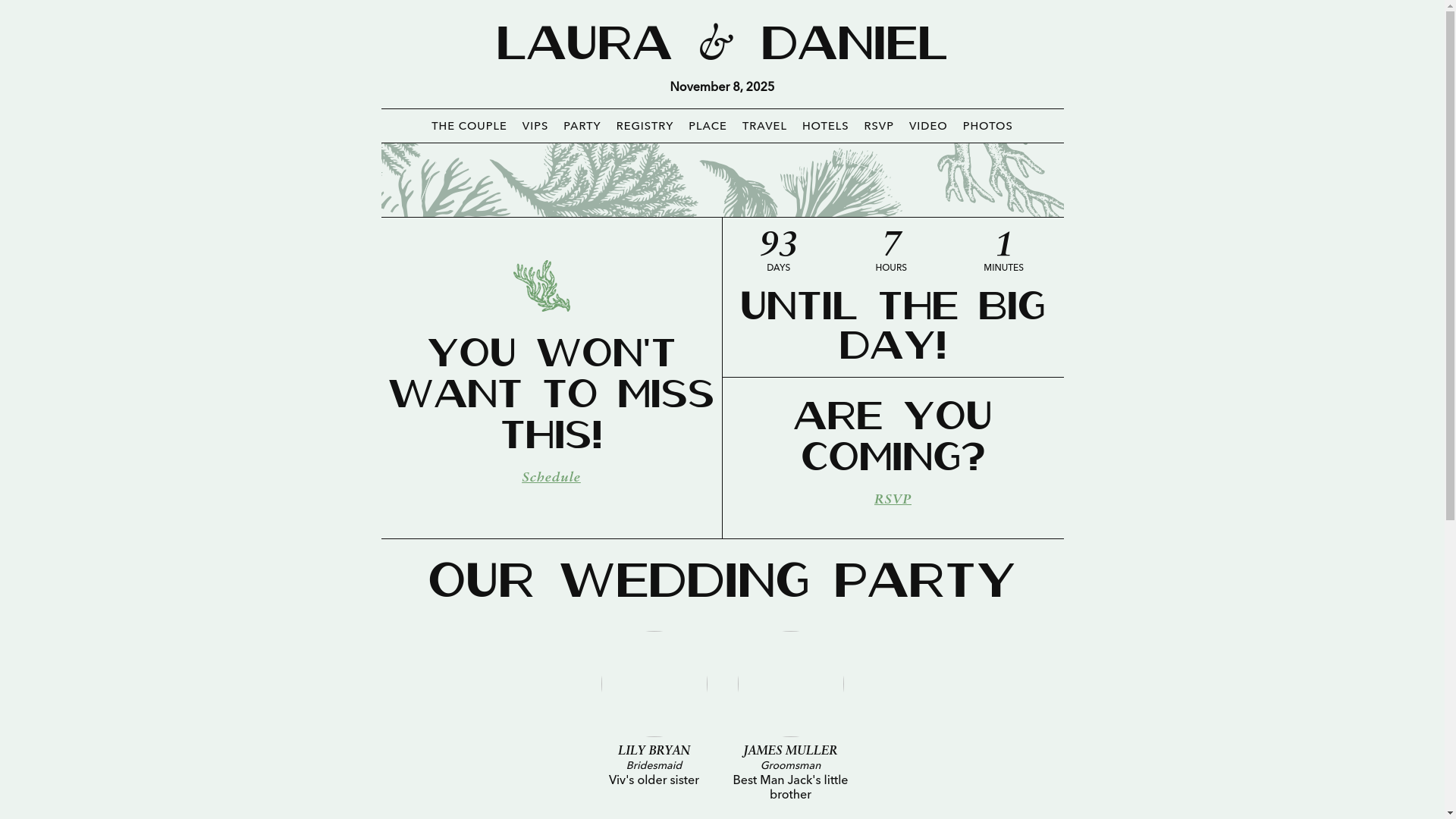 website screenshot of https://danielandlaura2025.com/