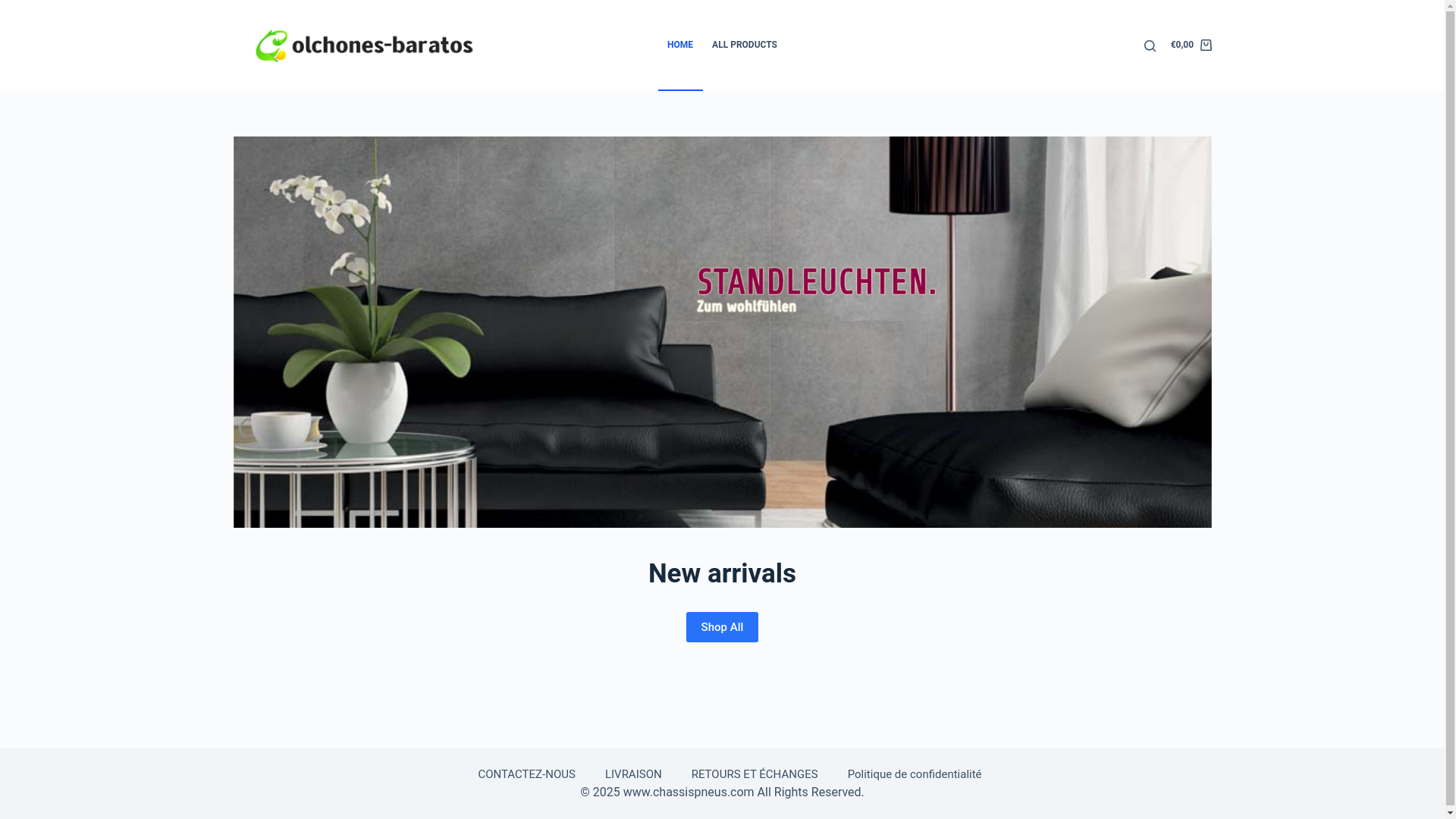 website screenshot of https://chassispneus.com/