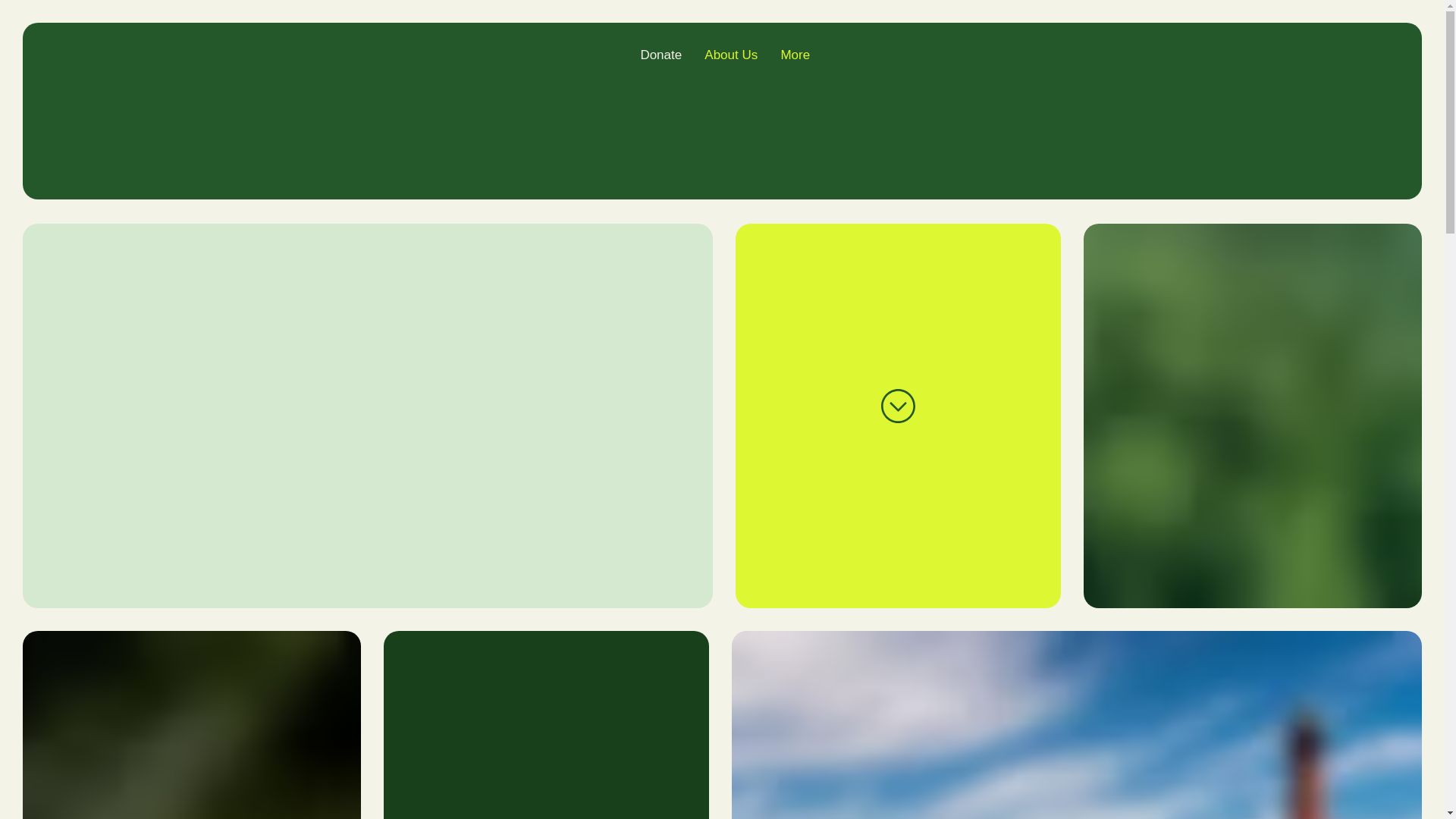 website screenshot of https://bridgeclubtheatreco.org/