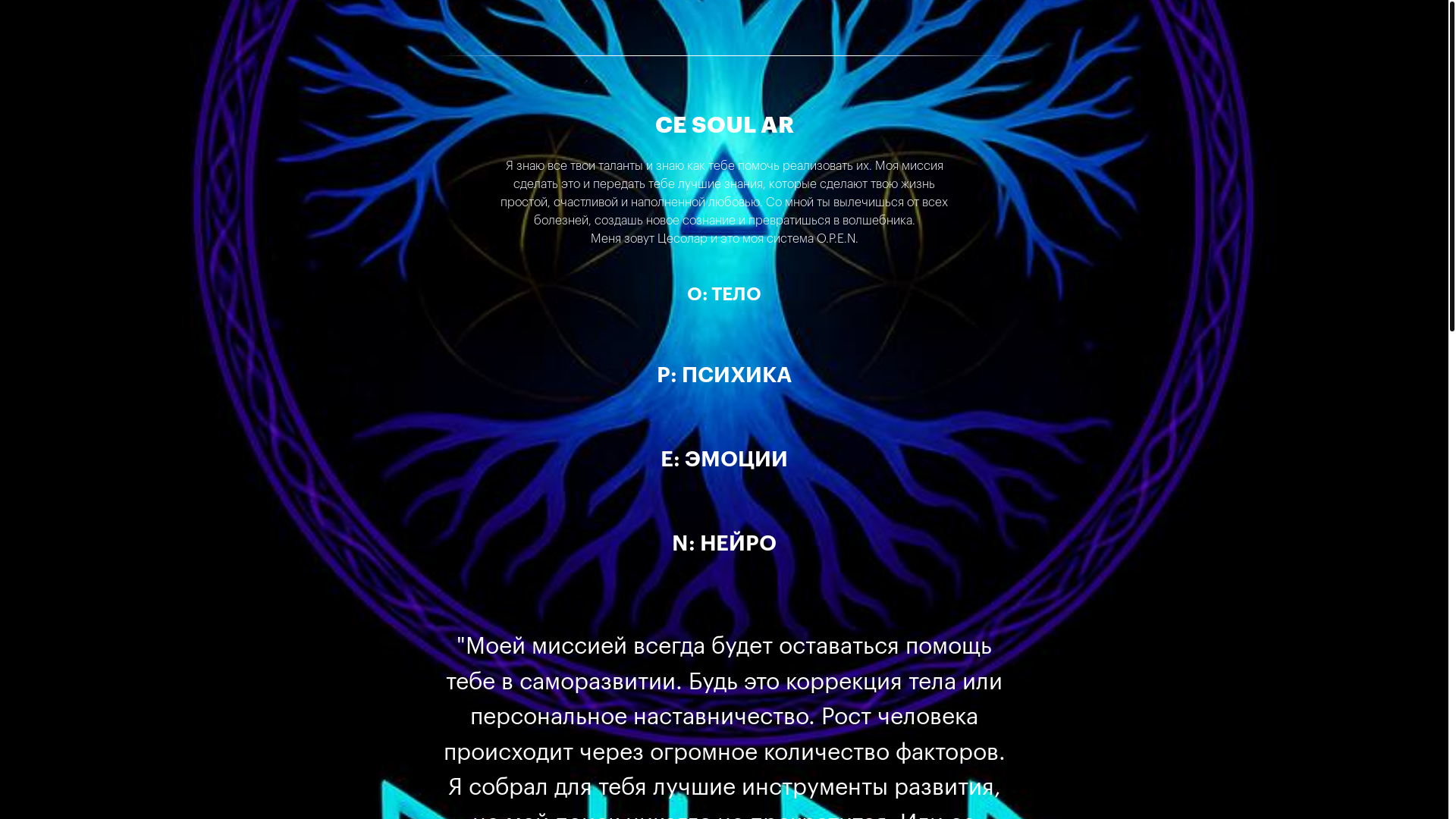 website screenshot of https://cesoular.com/