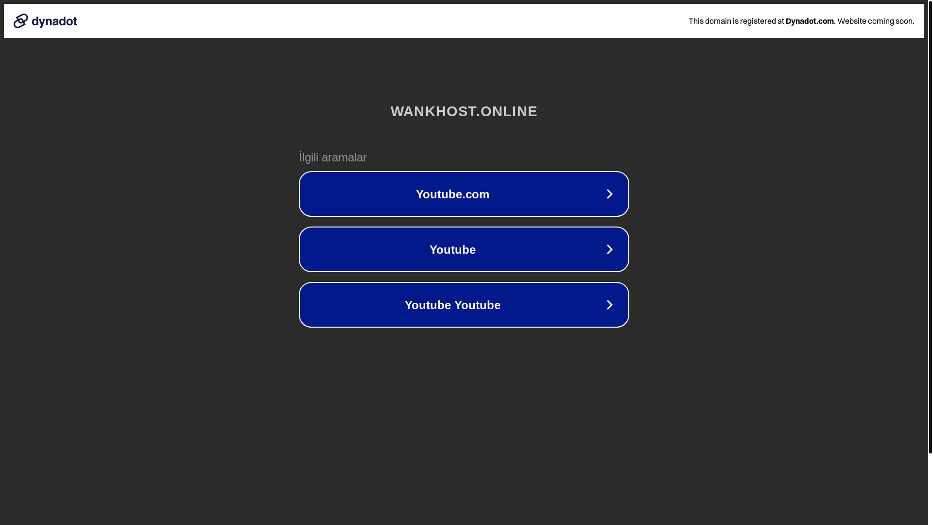 website screenshot of https://wankhost.online/
