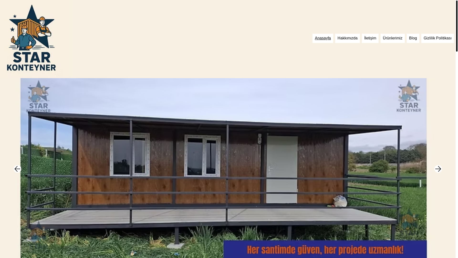 website screenshot of https://starkonteyner.com/