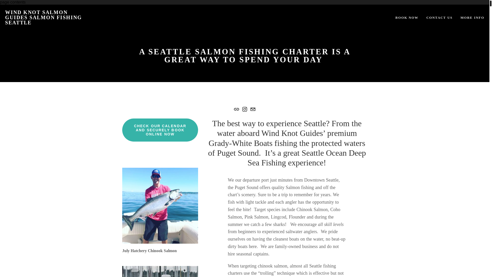 website screenshot of https://salmonmoochingseattle.com/