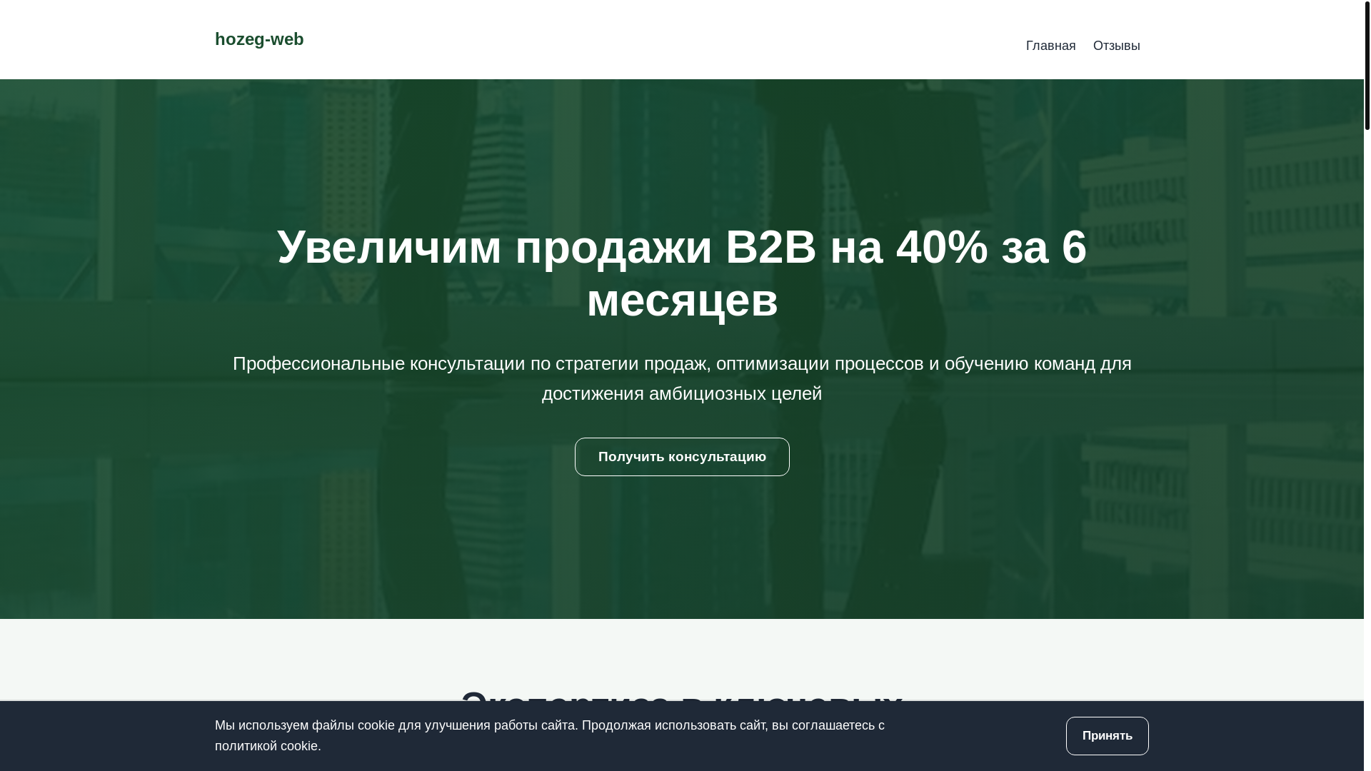 website screenshot of https://brightcl6ever.info/