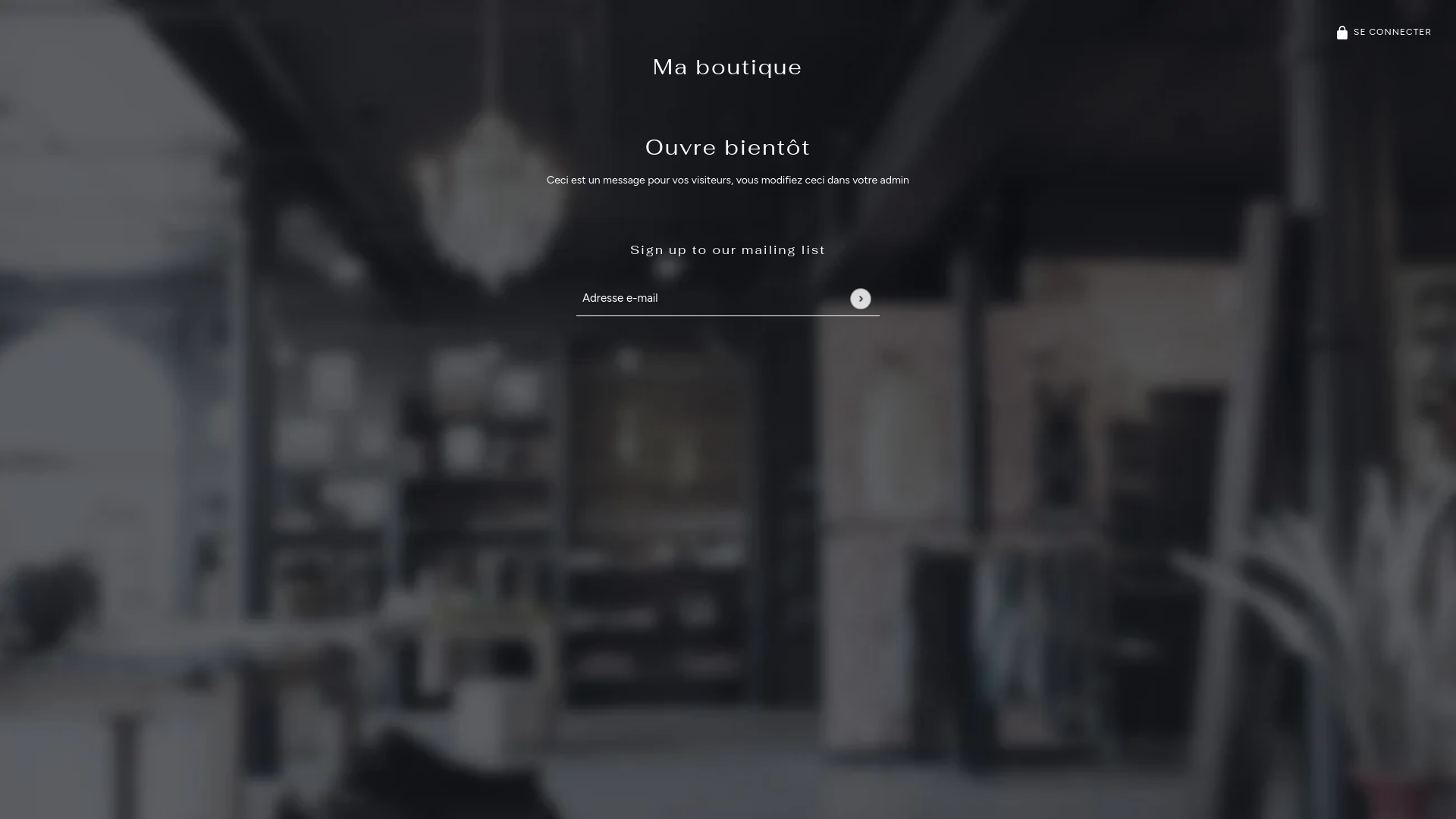 website screenshot of https://chezfannybijoux.fr/