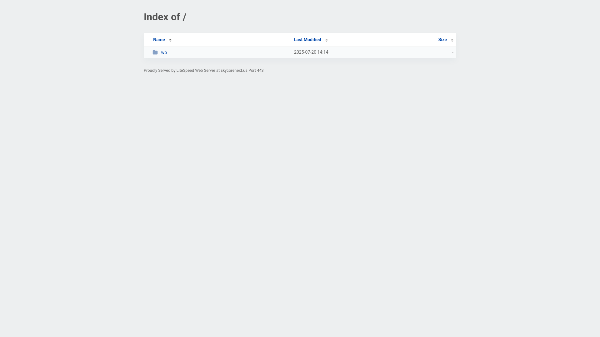 website screenshot of https://skycorenext.us/