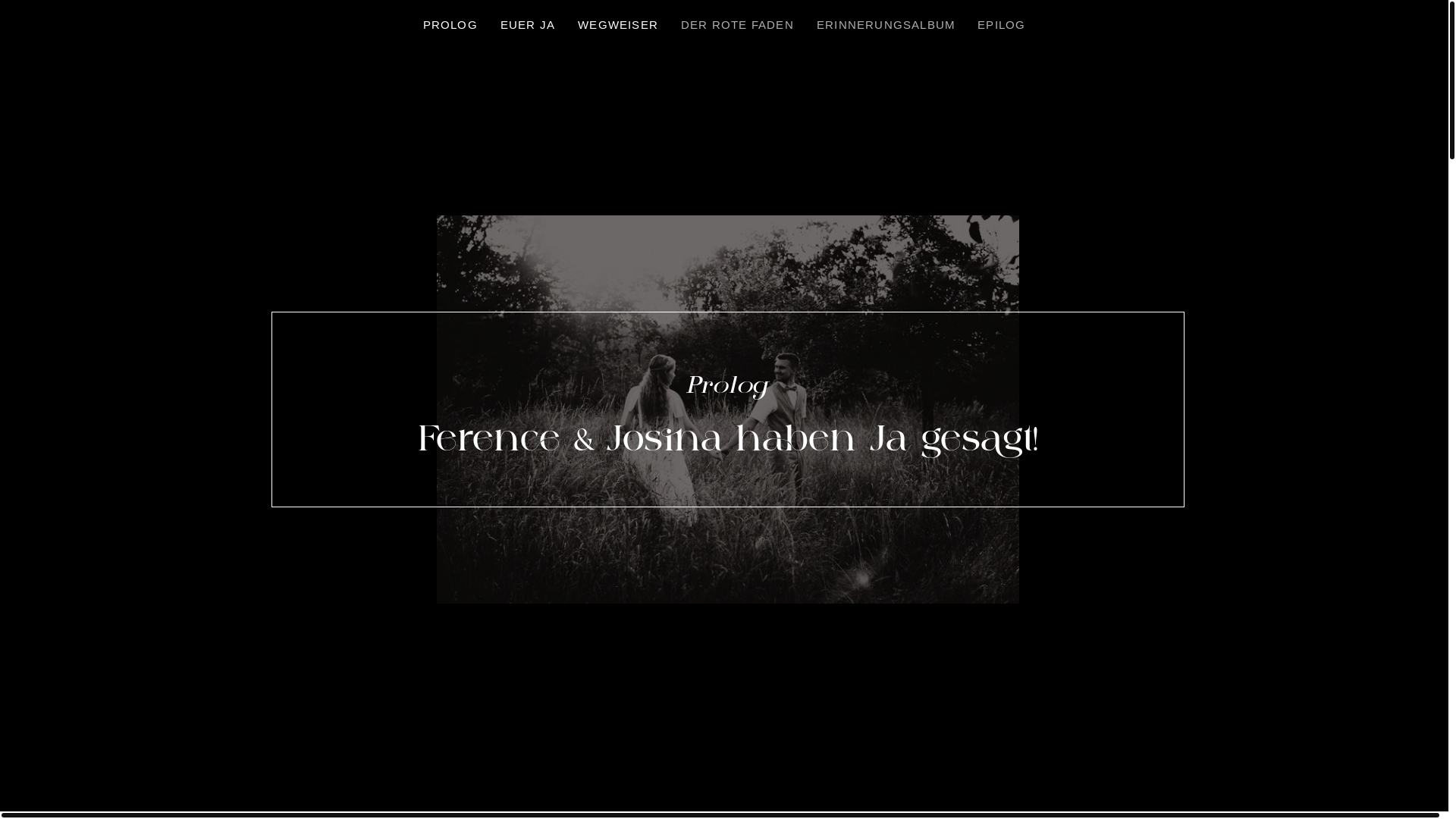 website screenshot of https://josina-andrees.de/