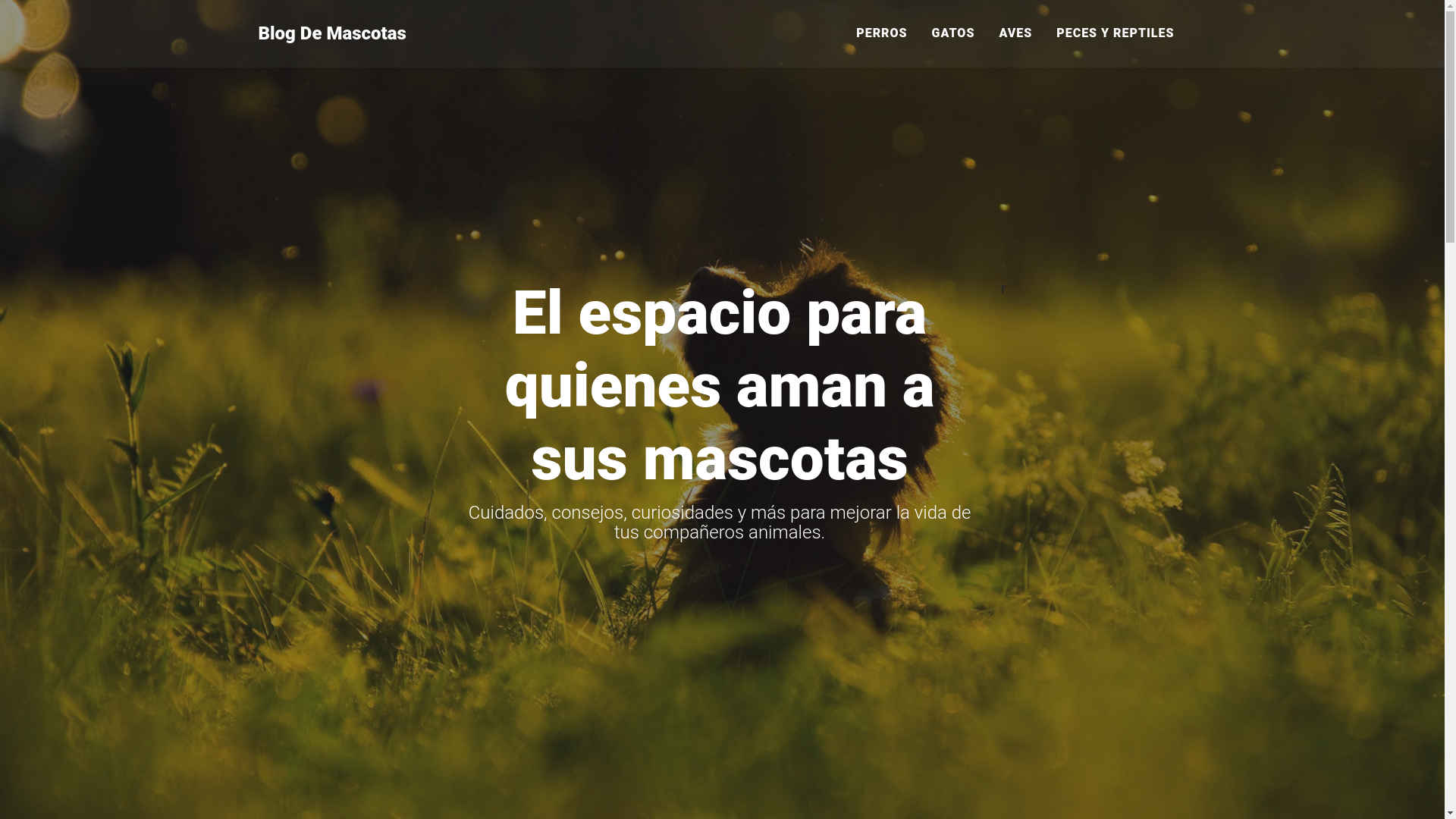 website screenshot of https://blogdemascotas.com.mx/