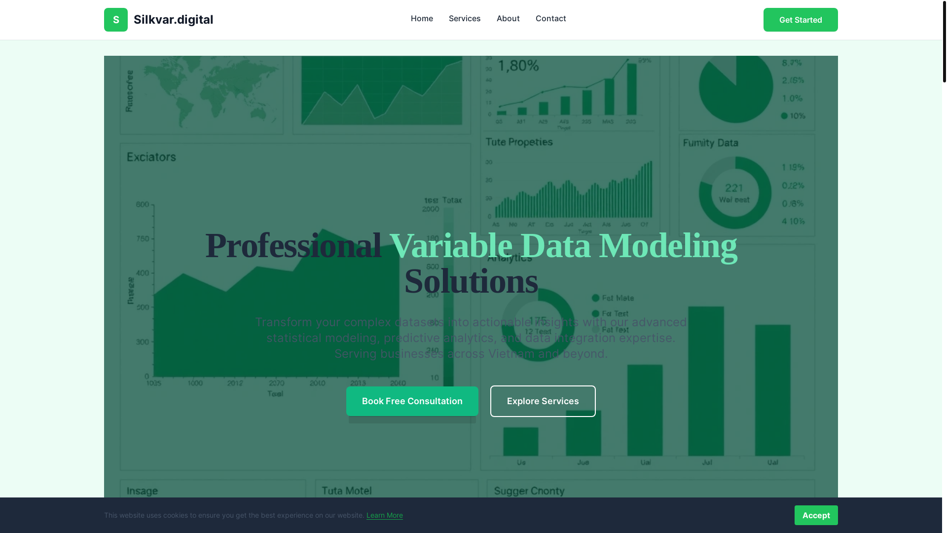 website screenshot of https://silkvar.digital/