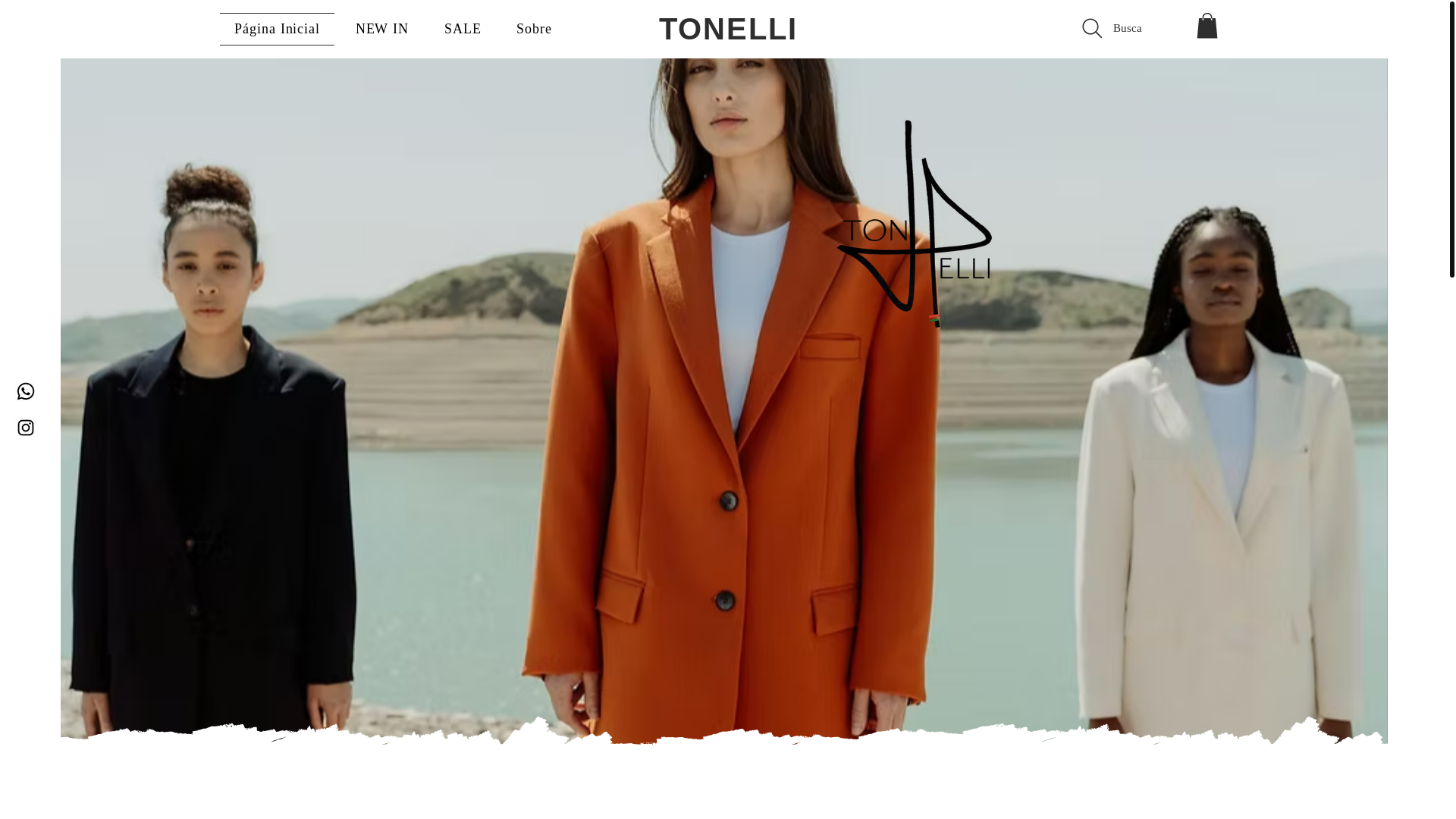 website screenshot of https://tonellioficial.com/
