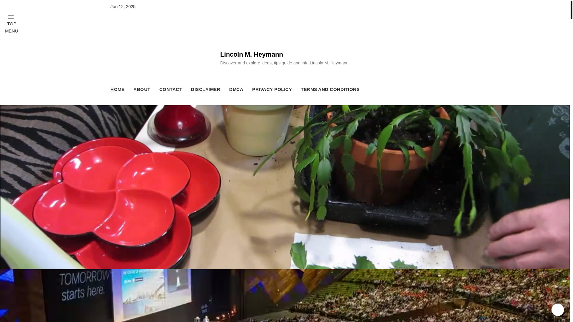 website screenshot of https://lincolnmheymann.pages.dev/