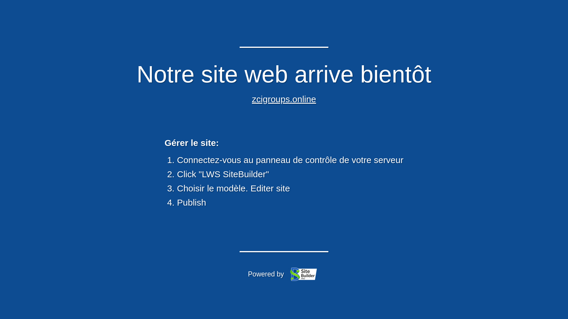 website screenshot of https://zcigroups.online/