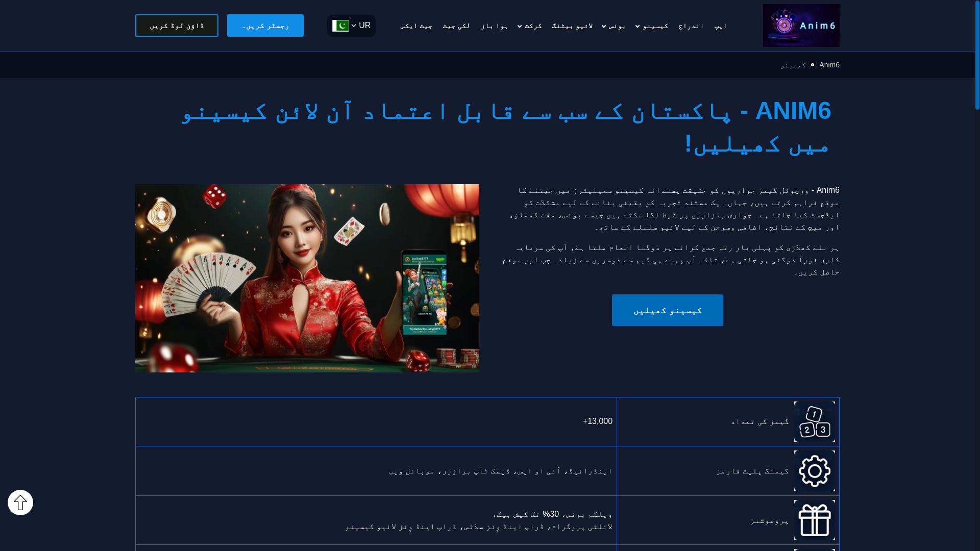 website screenshot of https://pk-anim6.com/
