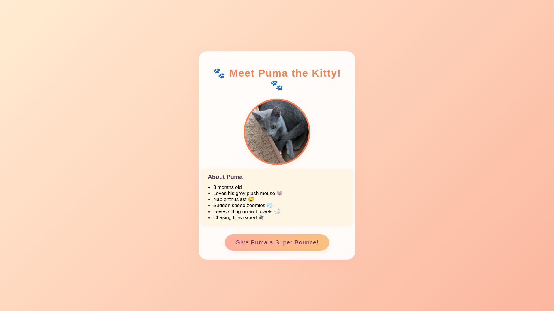 website screenshot of https://pumathecat.top/