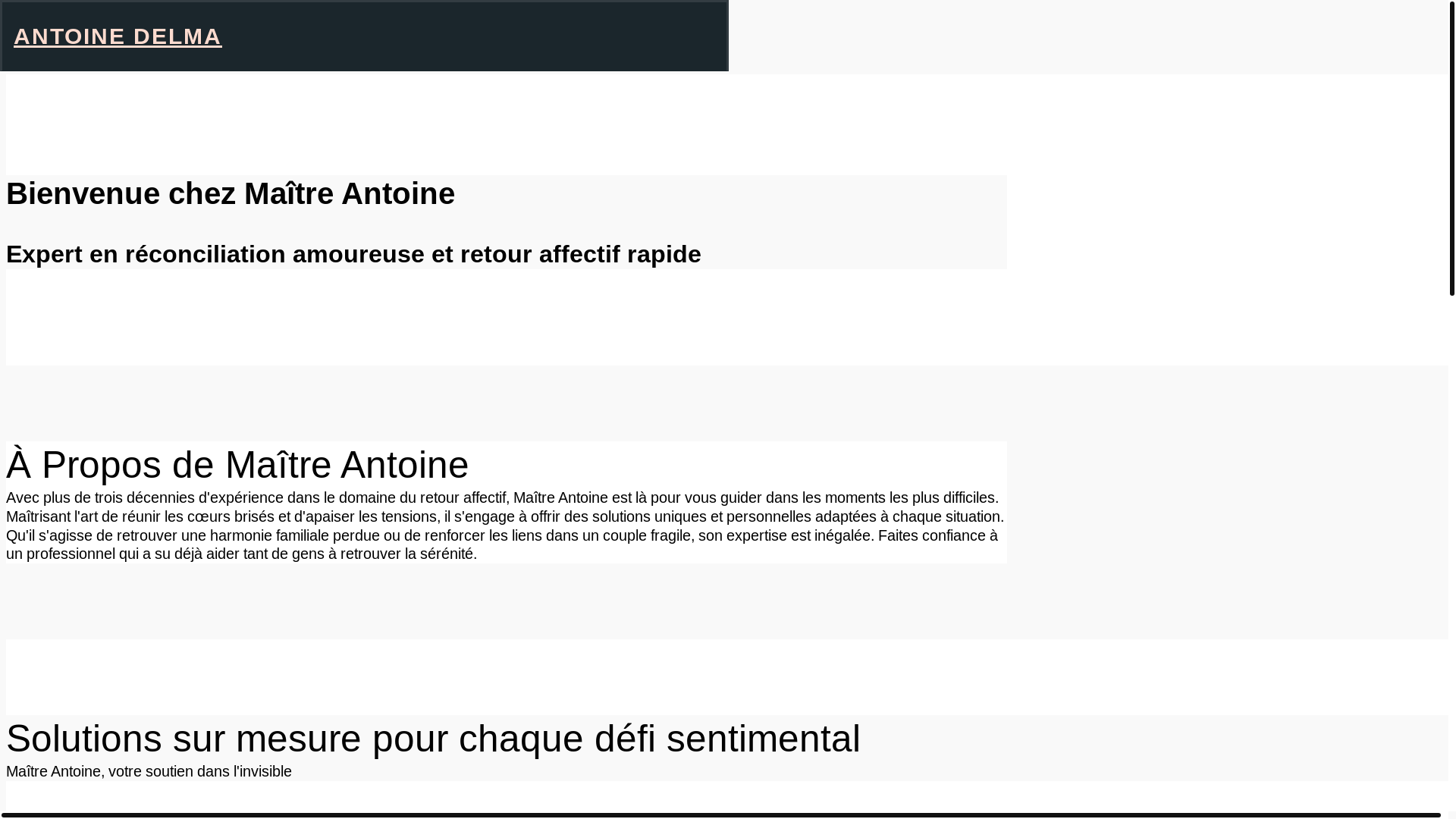 website screenshot of https://antoinedelma.fr/