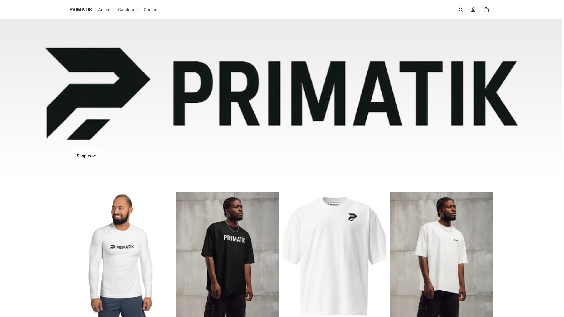 website screenshot of https://primatik.be/