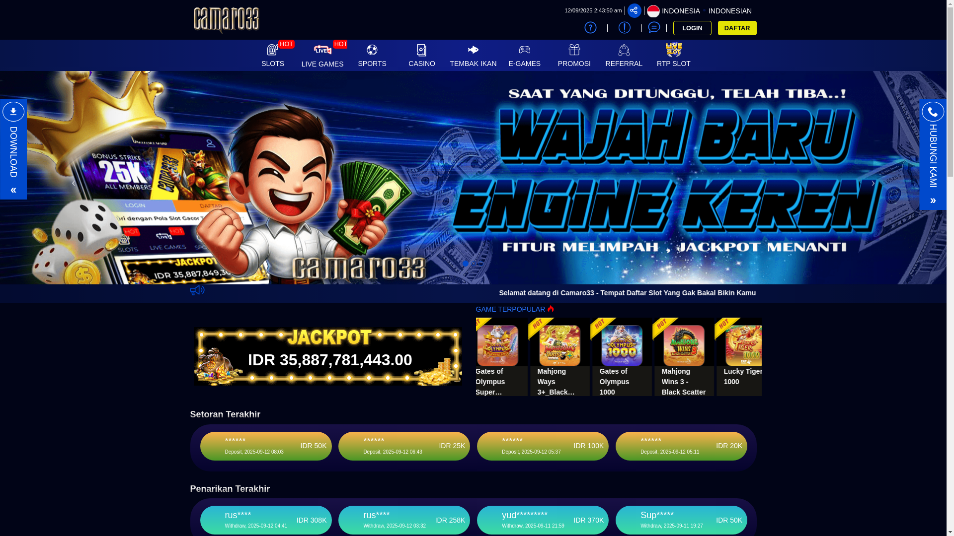 website screenshot of https://camaro33akses.com/