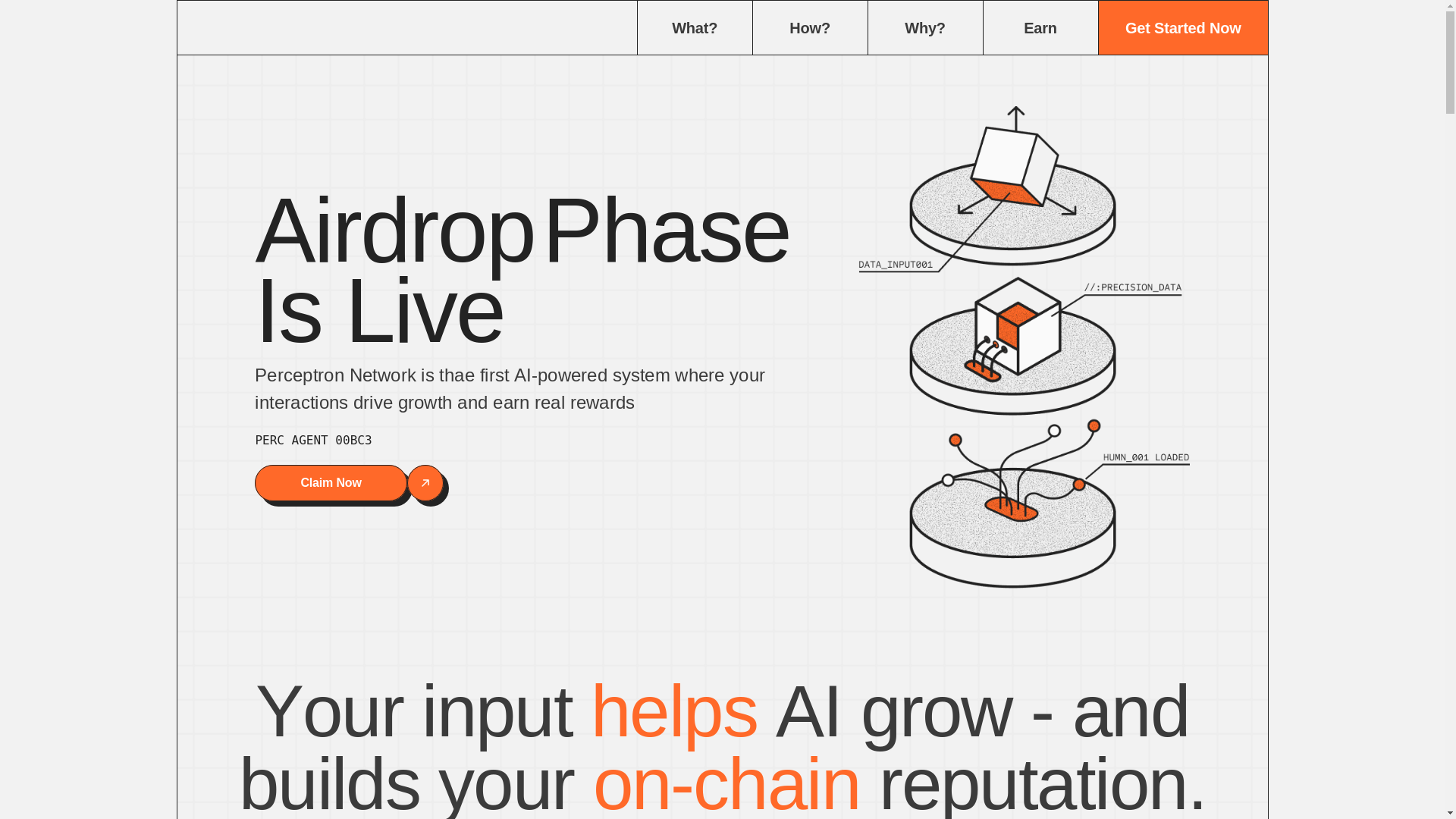 website screenshot of https://perceptrons-network.com/