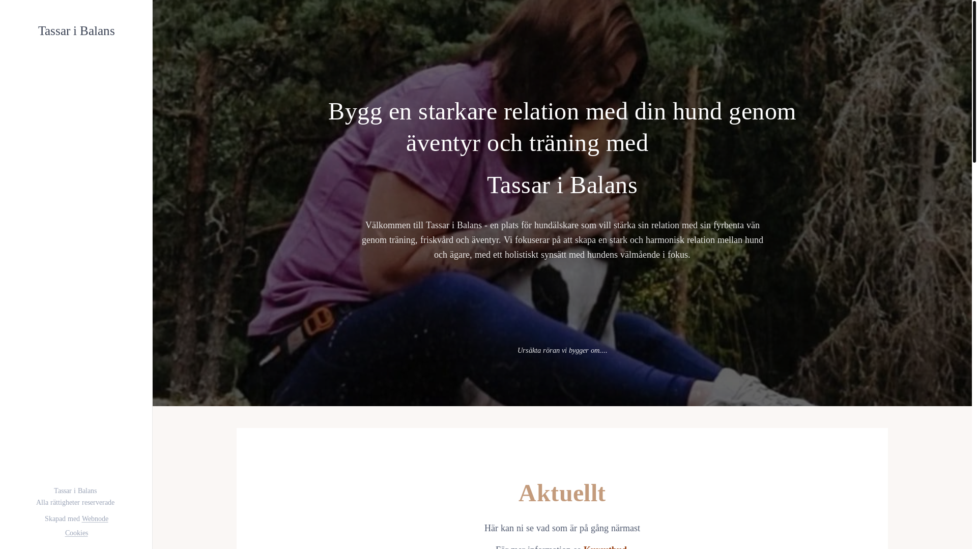 website screenshot of https://tassaribalans.se/