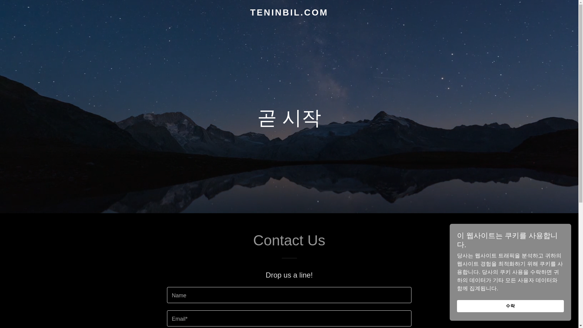 website screenshot of https://teninbil.com/