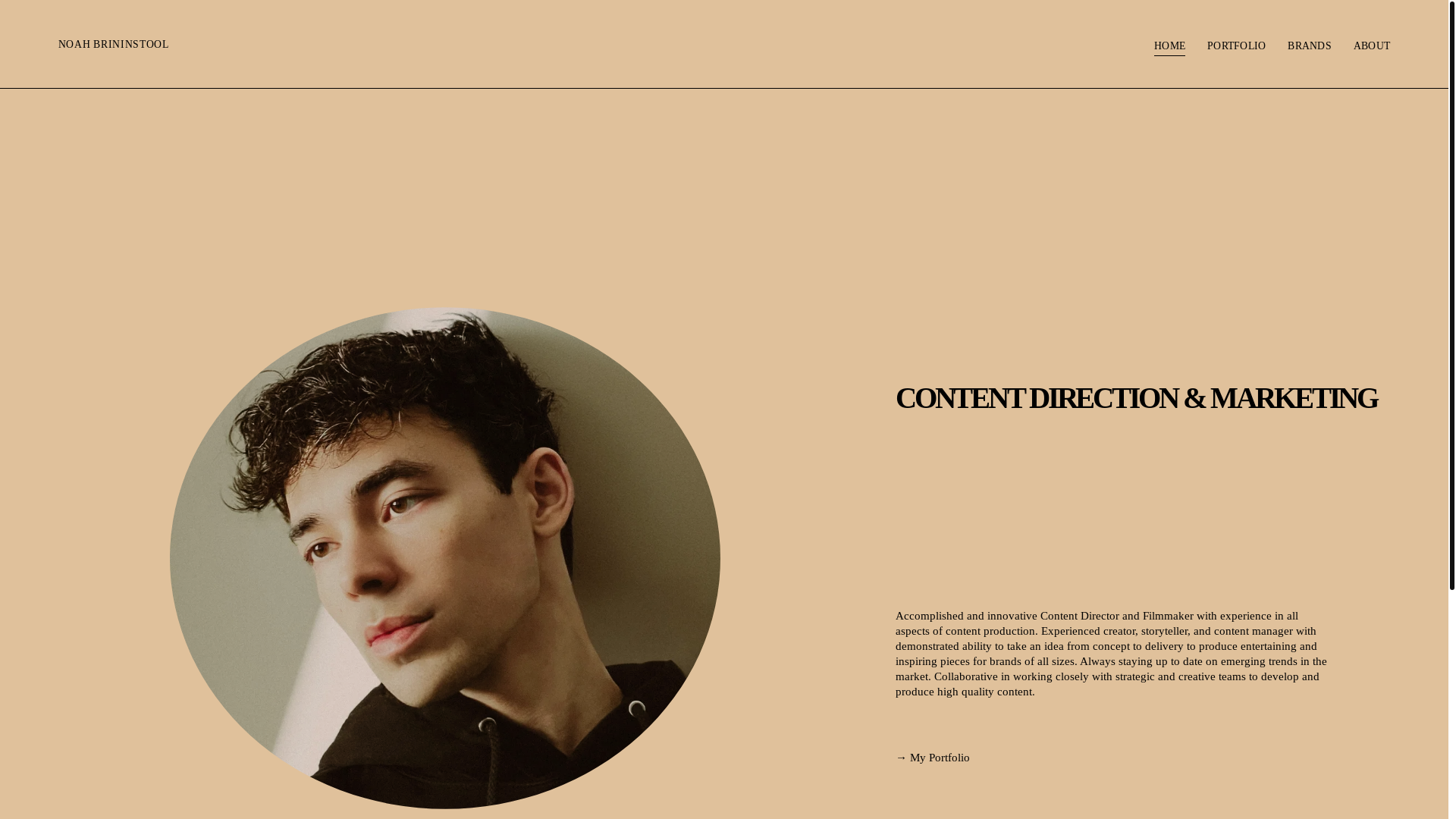 website screenshot of https://noahbrininstool.com/