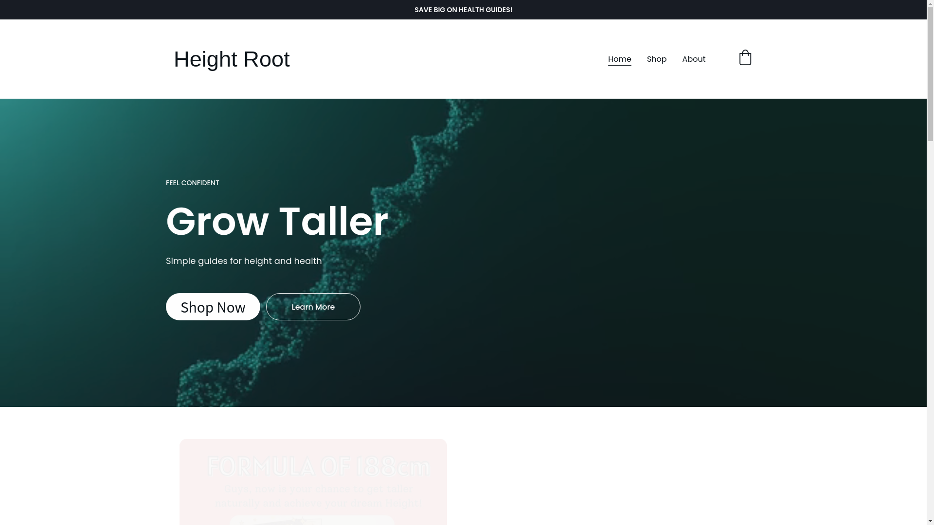 website screenshot of https://bodyroot.in/