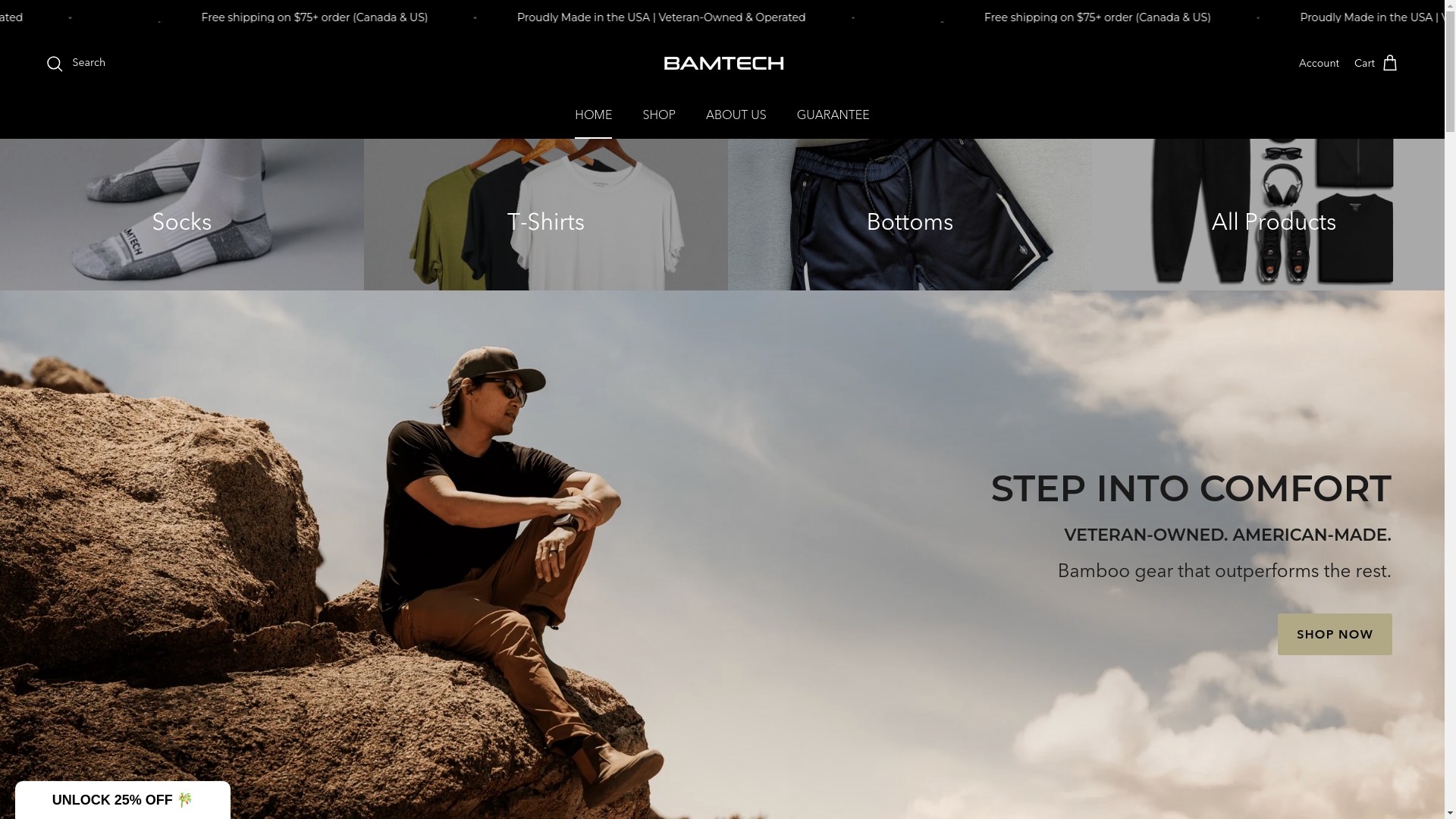 website screenshot of https://bamtechwholesale.com/