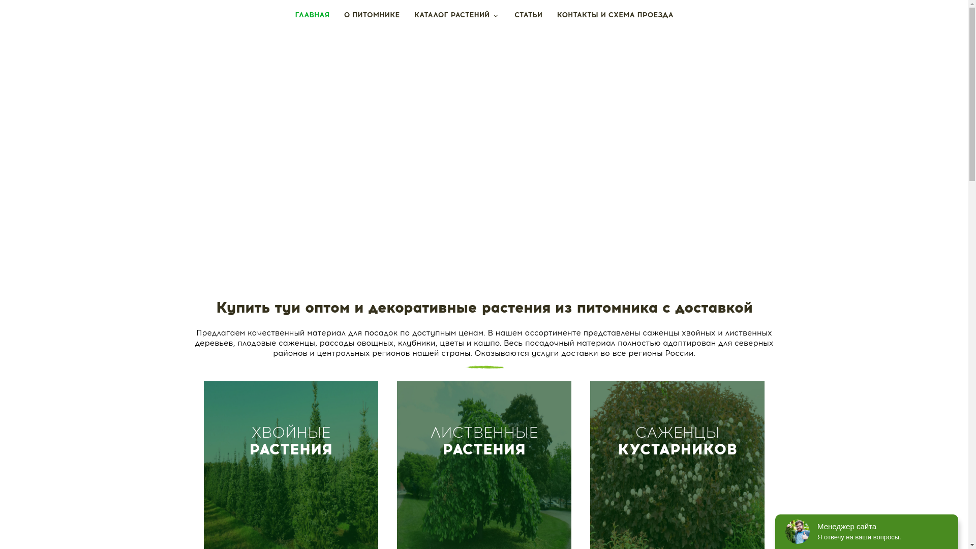 website screenshot of https://green-plants.pro/