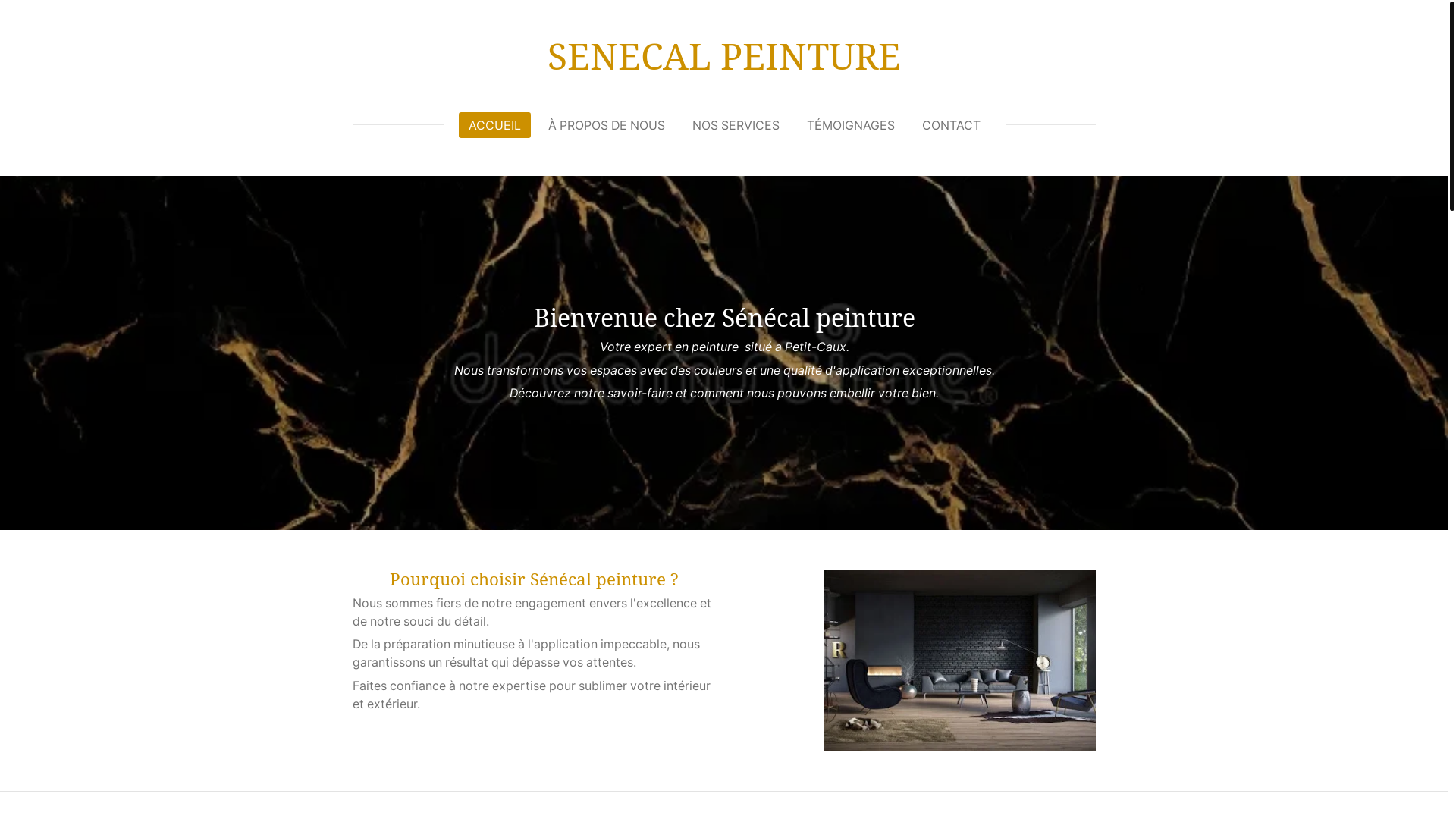 website screenshot of https://senecalpeinture.fr/