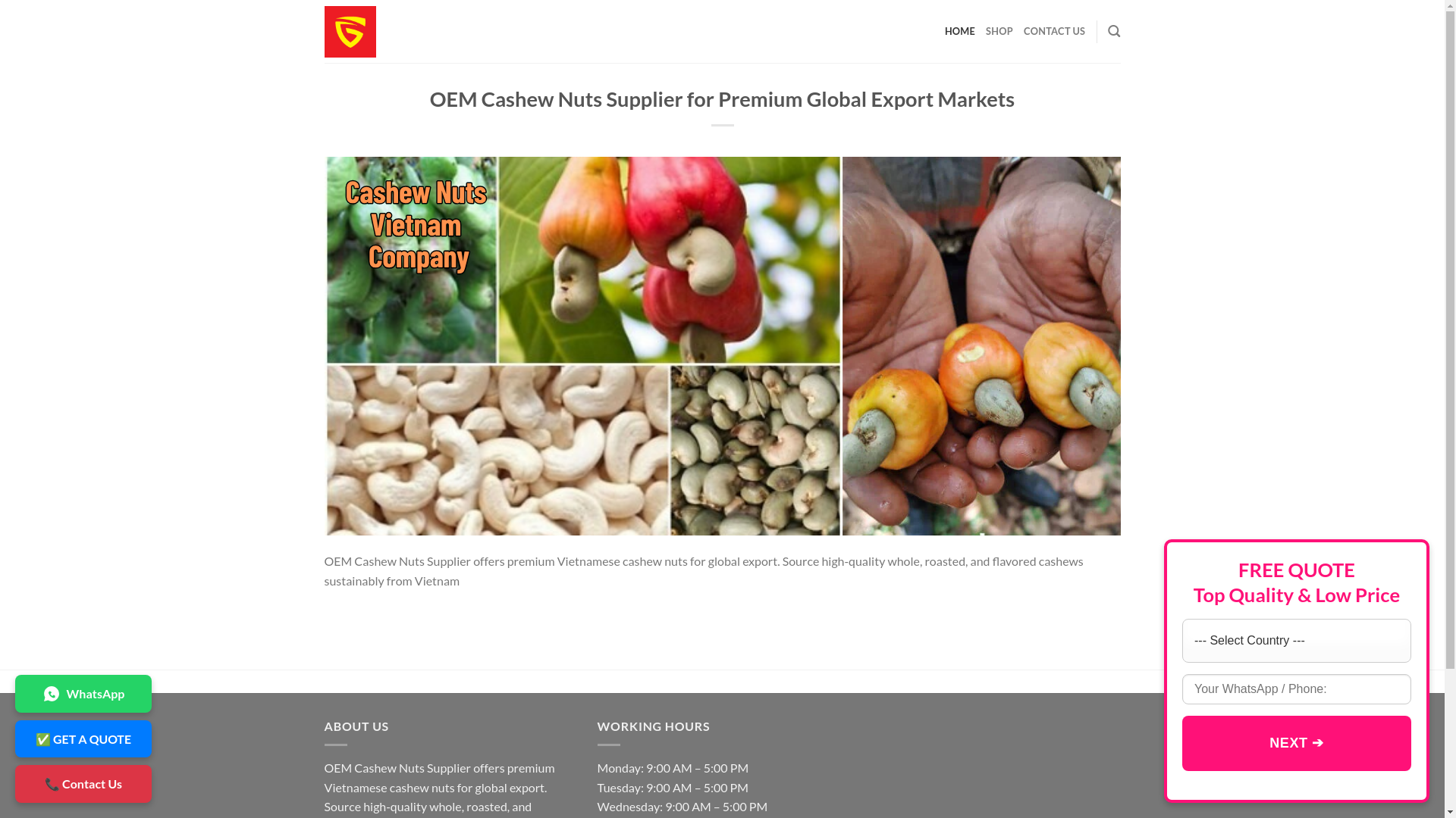 website screenshot of https://vietnamcashewnutssupplier.com/