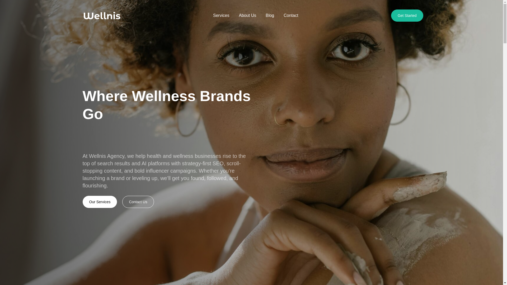 website screenshot of https://wellnisagency.com/