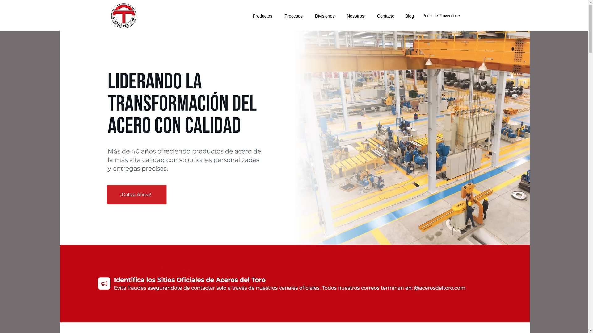 website screenshot of https://aceroseltoro.com/