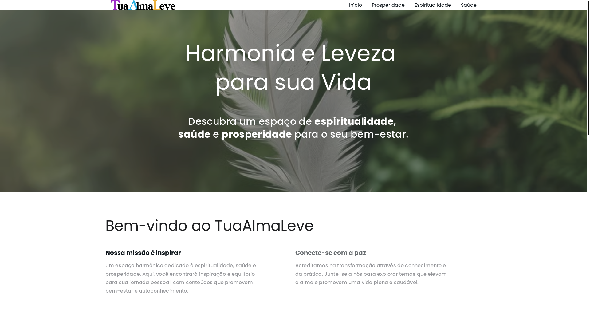 website screenshot of https://tuaalmaleve.com.br/