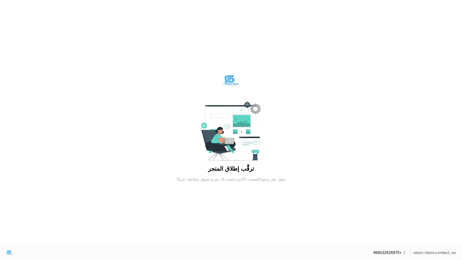 website screenshot of https://smart-port.store/