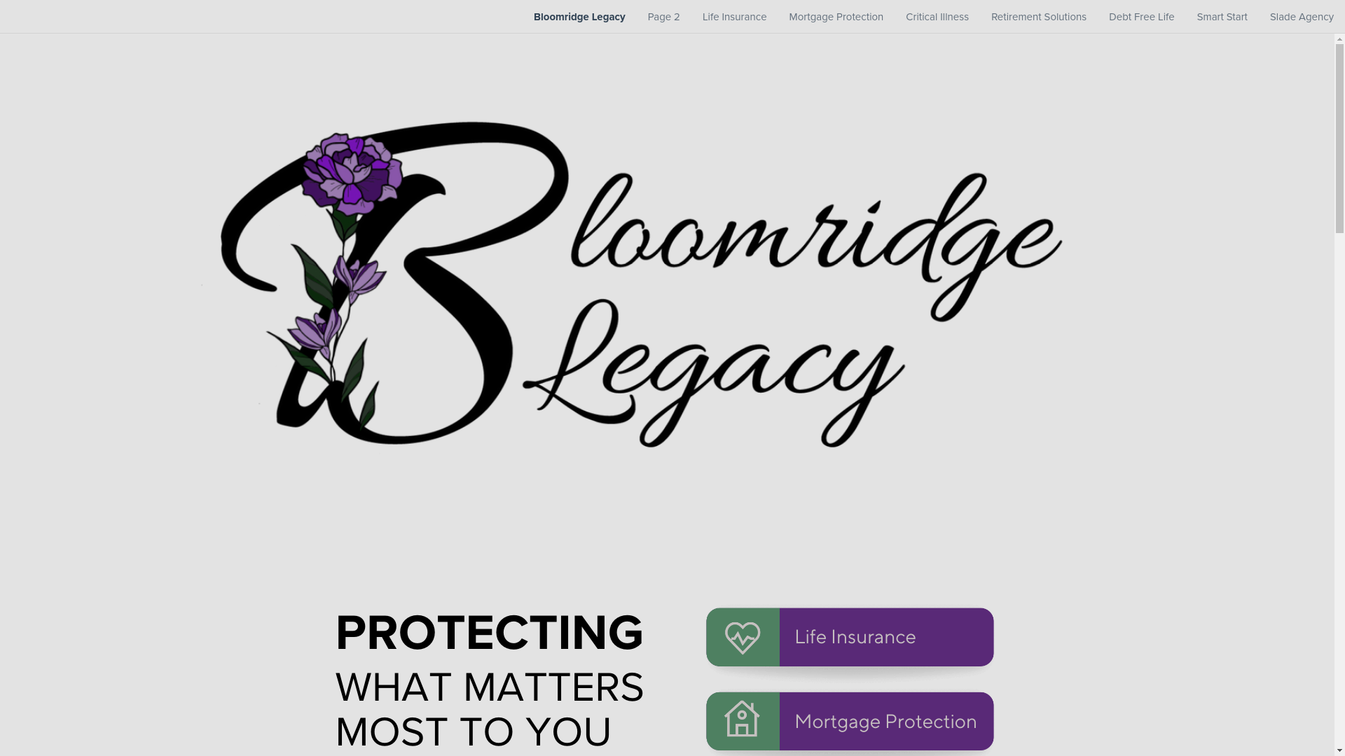website screenshot of https://bloomridgelegacy.com/
