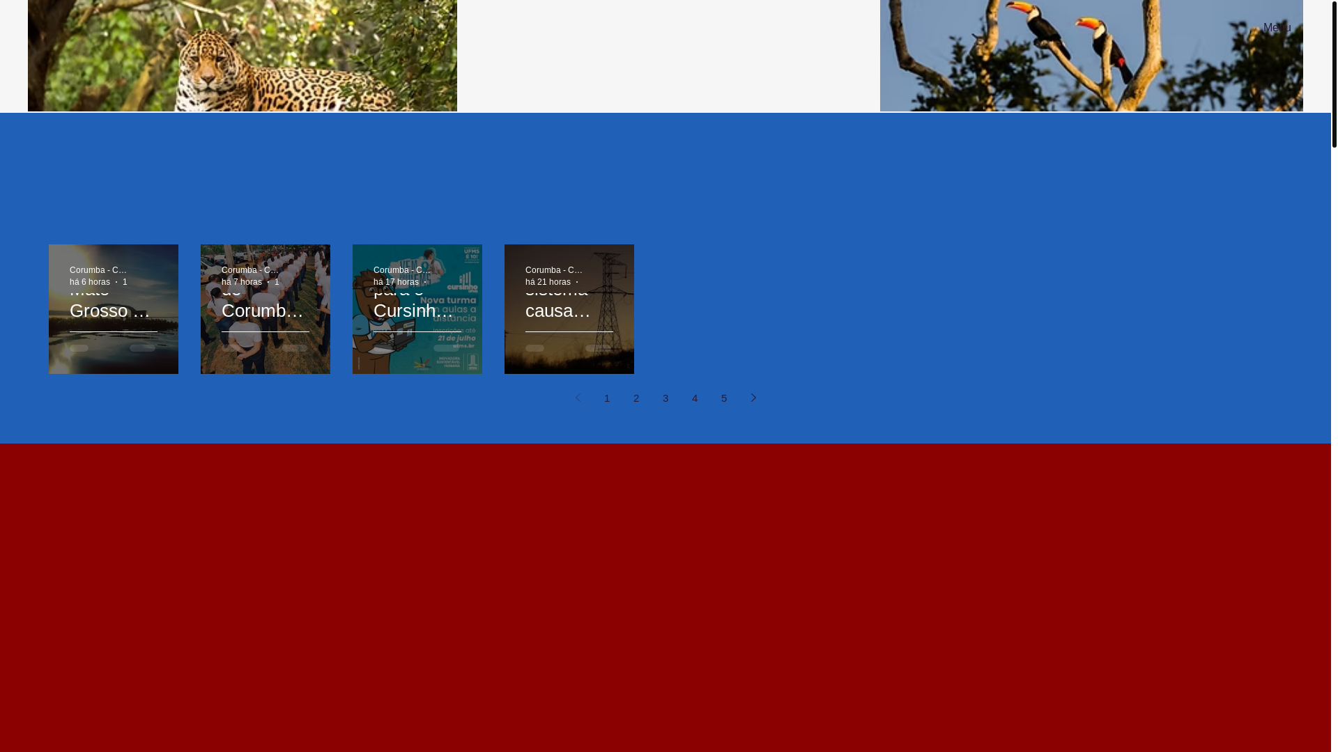 website screenshot of https://corumbaconnectdcf.com.br/