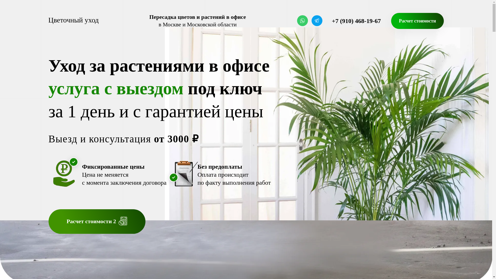 website screenshot of https://xn----ctbhcuxgd5aowdr1d.xn--p1ai/