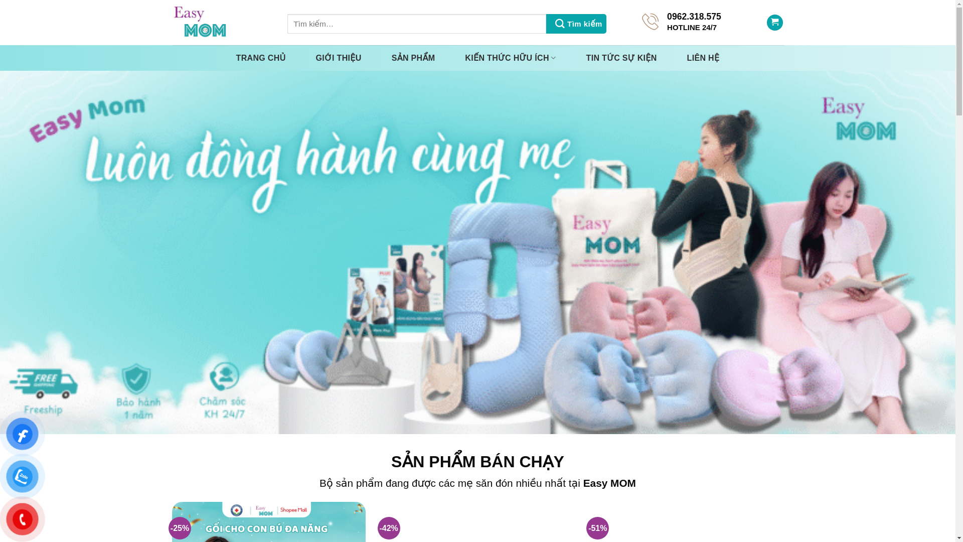 website screenshot of https://easymomvietnam.com/