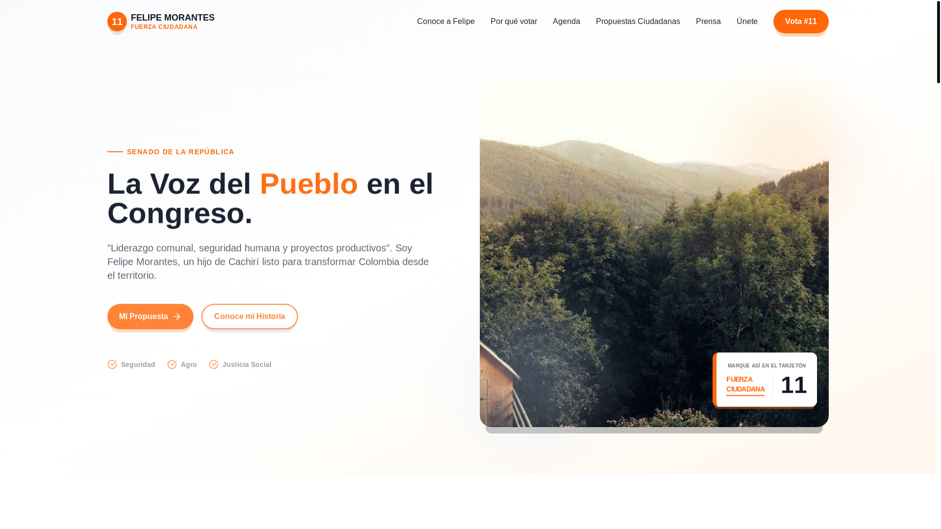 website screenshot of https://felipemorantes.com/