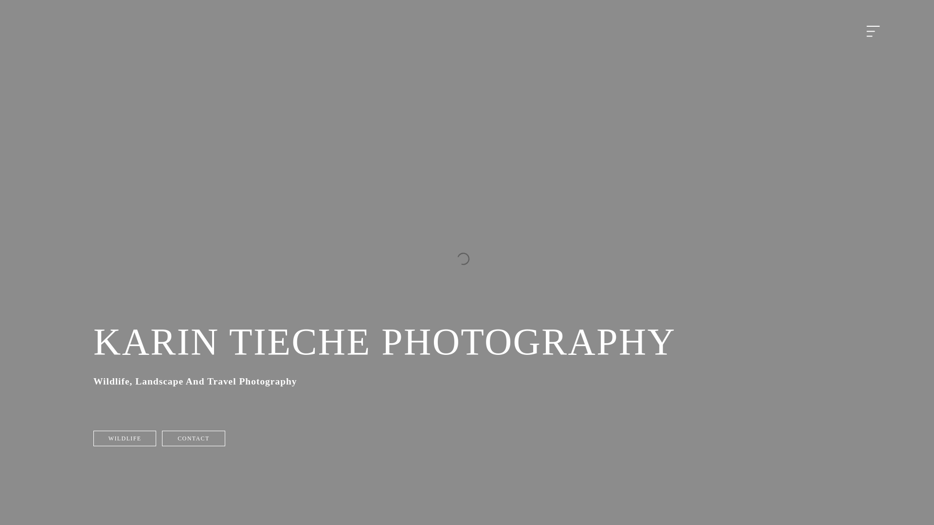 website screenshot of https://karintiechephotography.com/