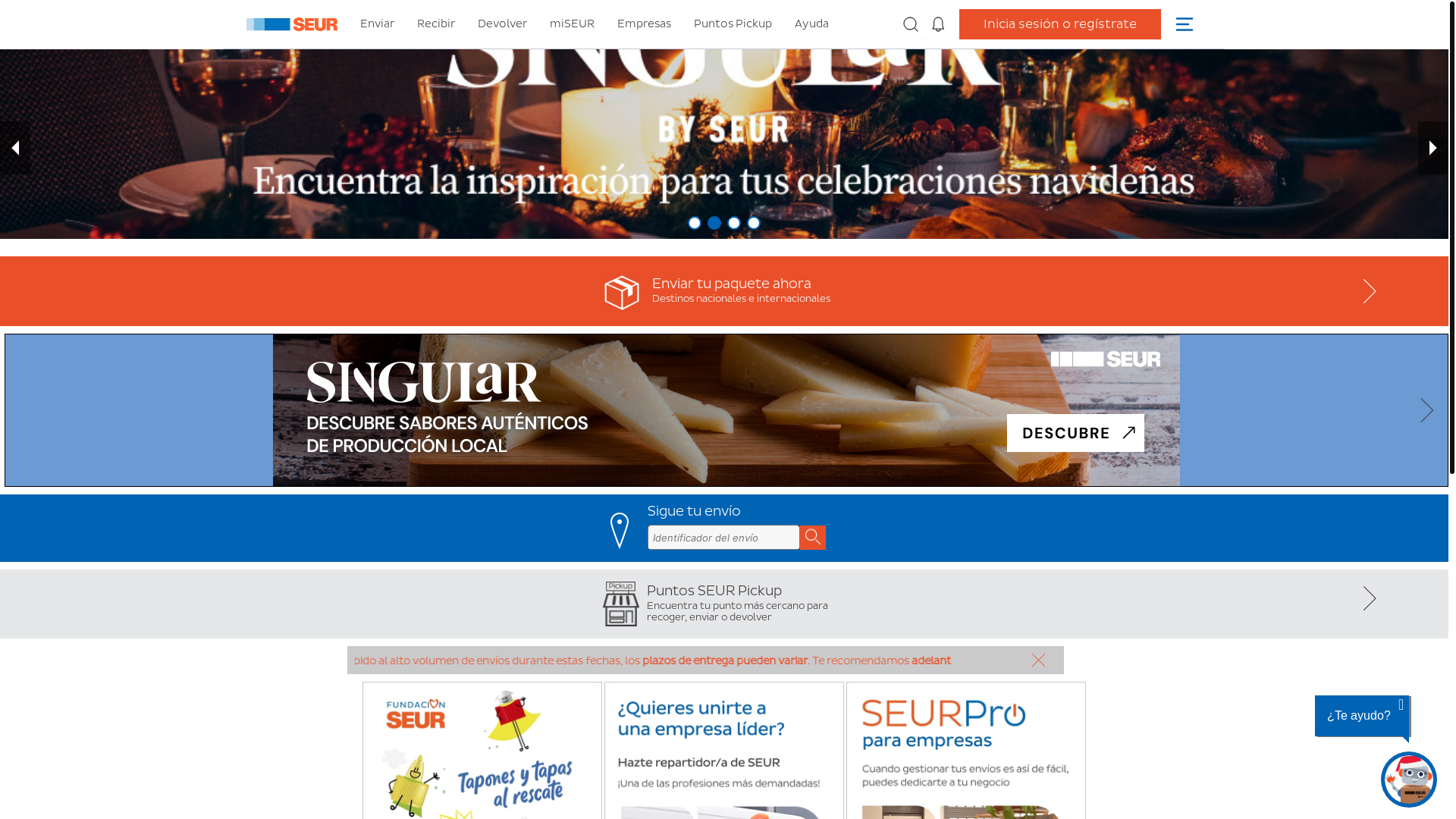 website screenshot of https://seursafety.live/
