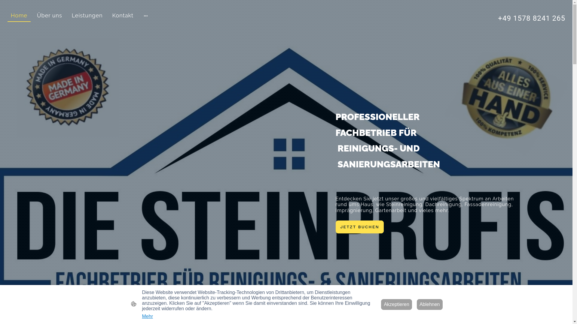 website screenshot of https://diesteinprofis-kraus.de/