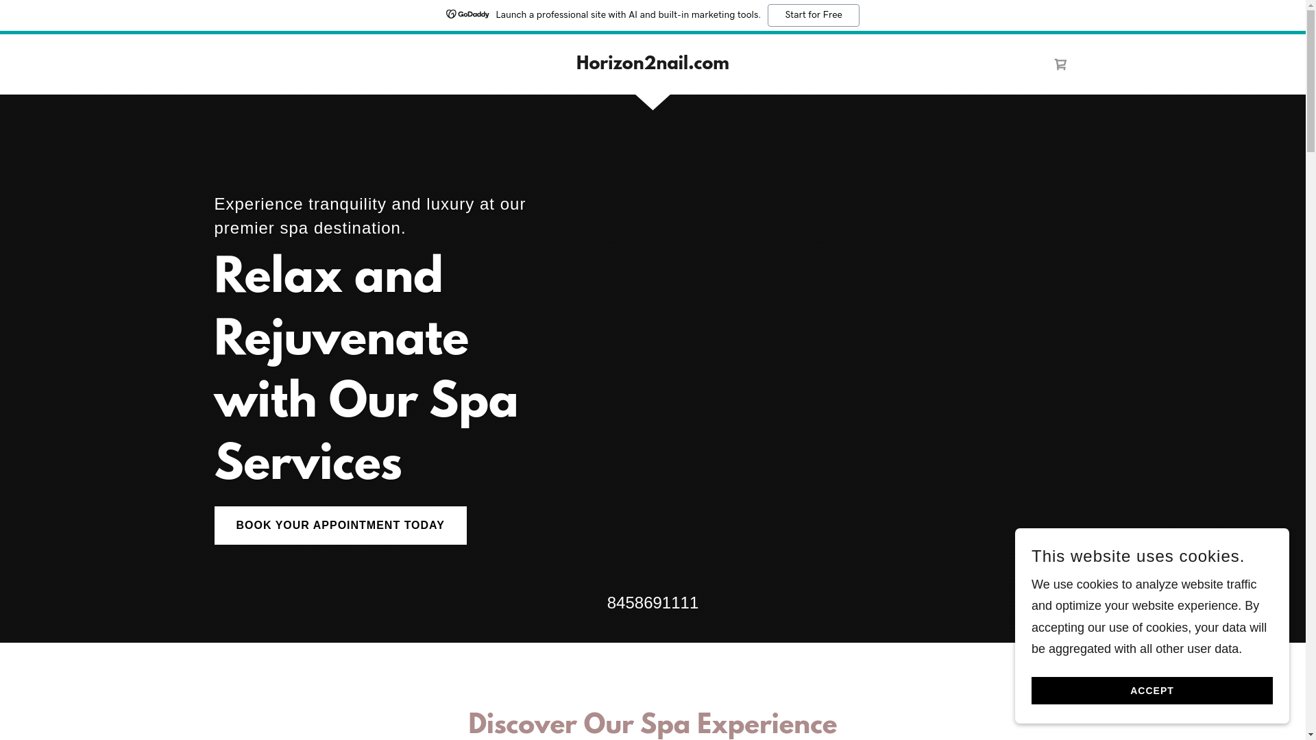 website screenshot of https://horizon2nail.com/