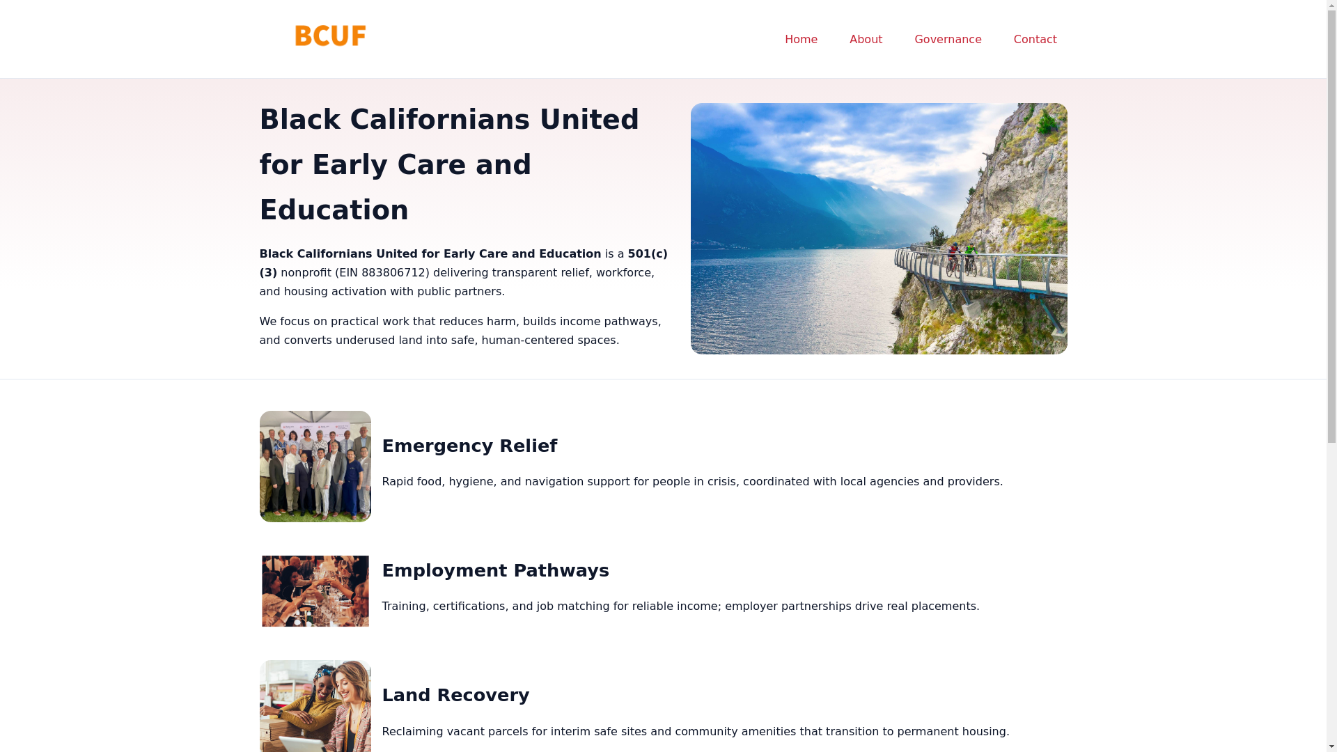 website screenshot of https://blackcaliforniansunited.cfd/