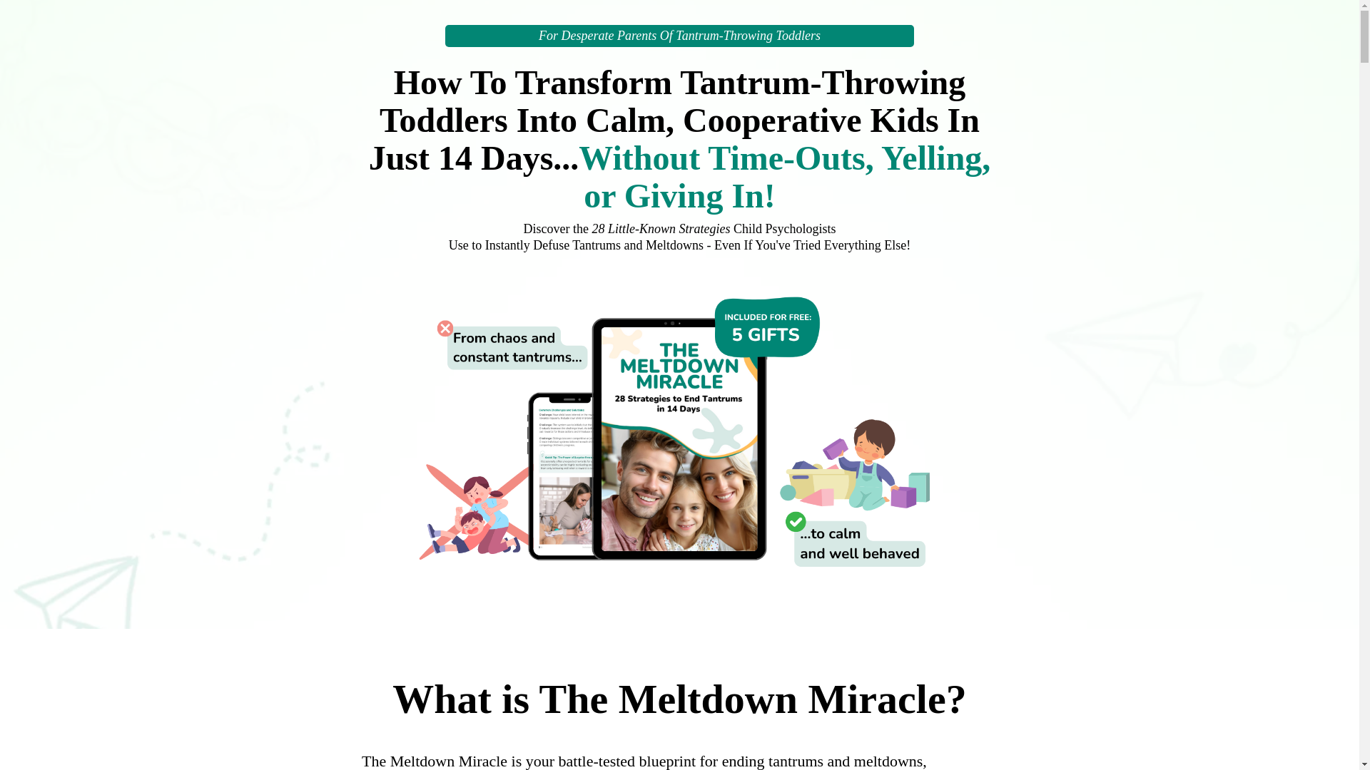 website screenshot of https://meltdownrescue.com/